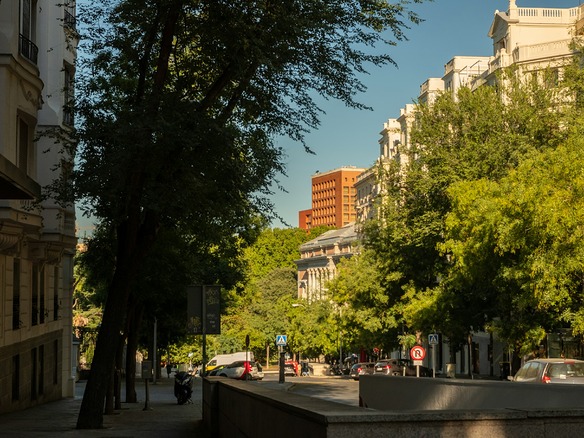 Calle residencial de edificios senoriales con grandes arboles que cubren de sombra la acera, casi sin gente y con luz calida de media tarde.
