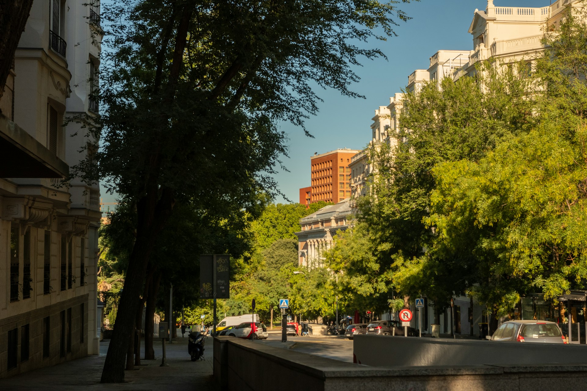 Calle residencial de edificios senoriales con grandes arboles que cubren de sombra la acera, casi sin gente y con luz calida de media tarde.