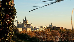 Cúpulas y campanarios del centro de Madrid al atardecer, vistos por encima de una ladera de árboles con hojas doradas y cobrizas.