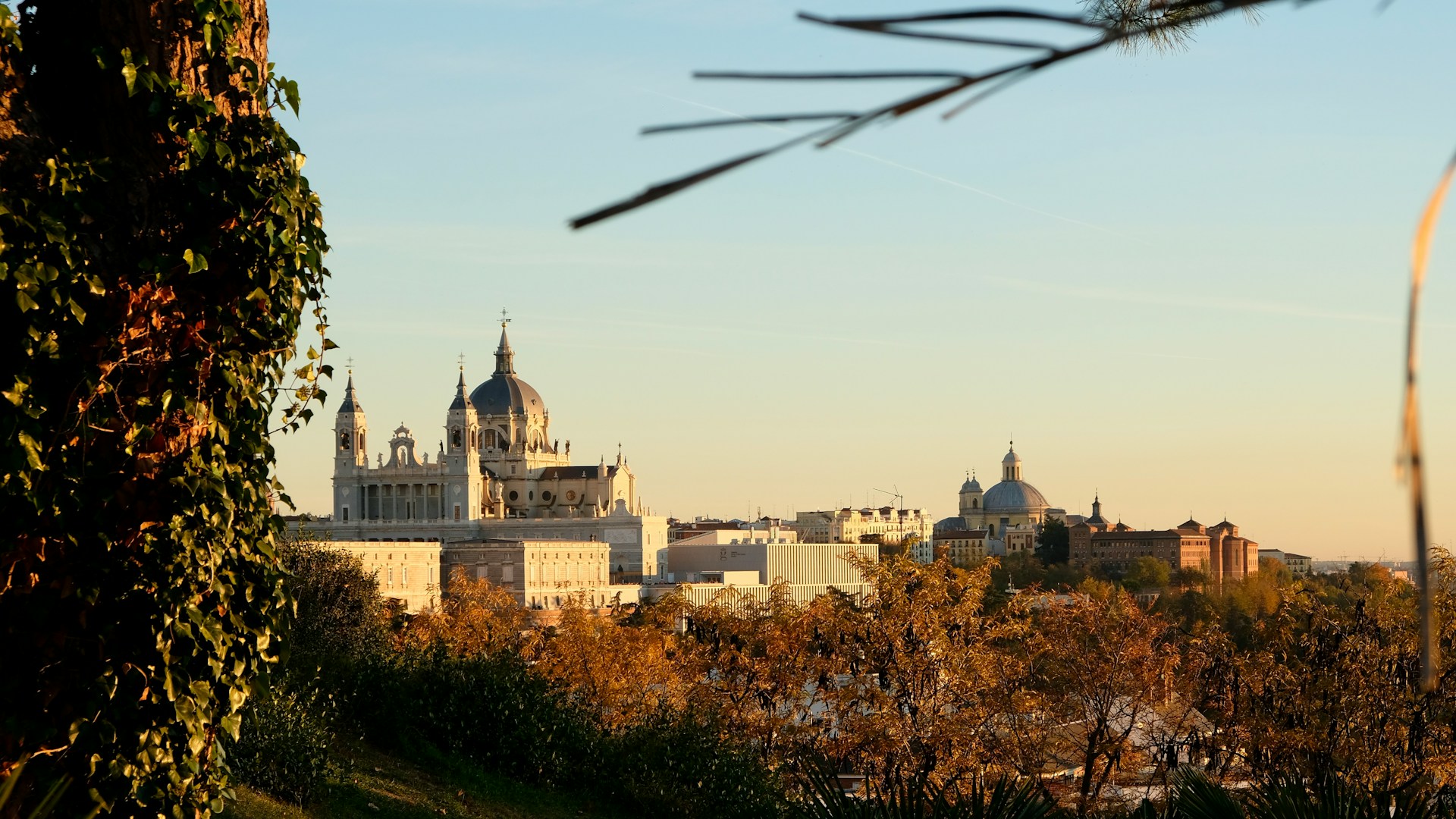 Cúpulas y campanarios del centro de Madrid al atardecer, vistos por encima de una ladera de árboles con hojas doradas y cobrizas.