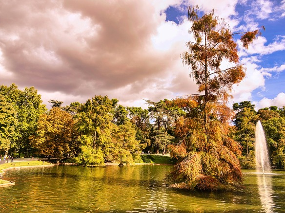 Estanque del parque del Retiro en Madrid con cipreses calvos cobrizos, un surtidor de agua y árboles dorados bajo un cielo nuboso de octubre.