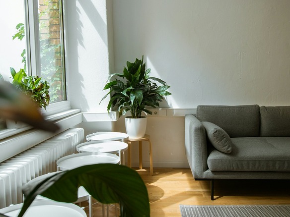 Salón claro con sofá gris, suelo de madera y plantas junto a una ventana con hojas verdes tras el cristal