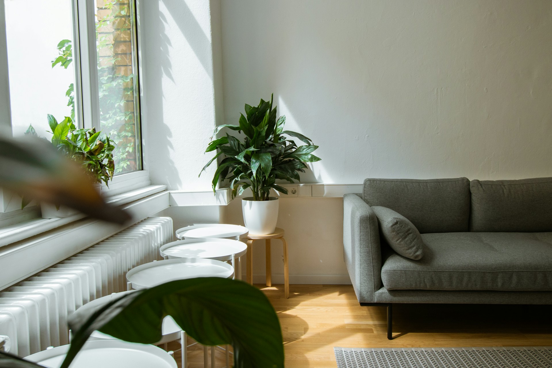 Salón claro con sofá gris, suelo de madera y plantas junto a una ventana con hojas verdes tras el cristal